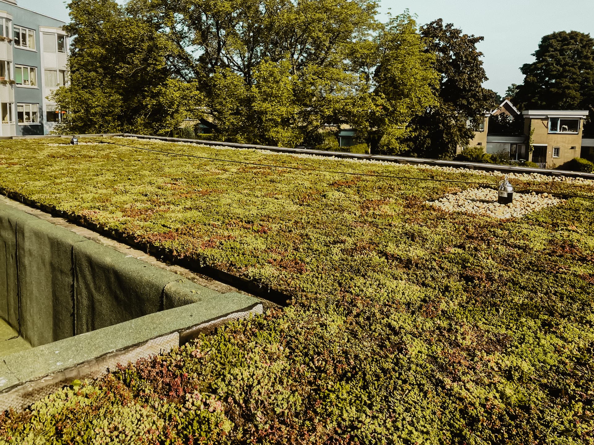 Daktec Bewustgroen groene dakbedekking groendak