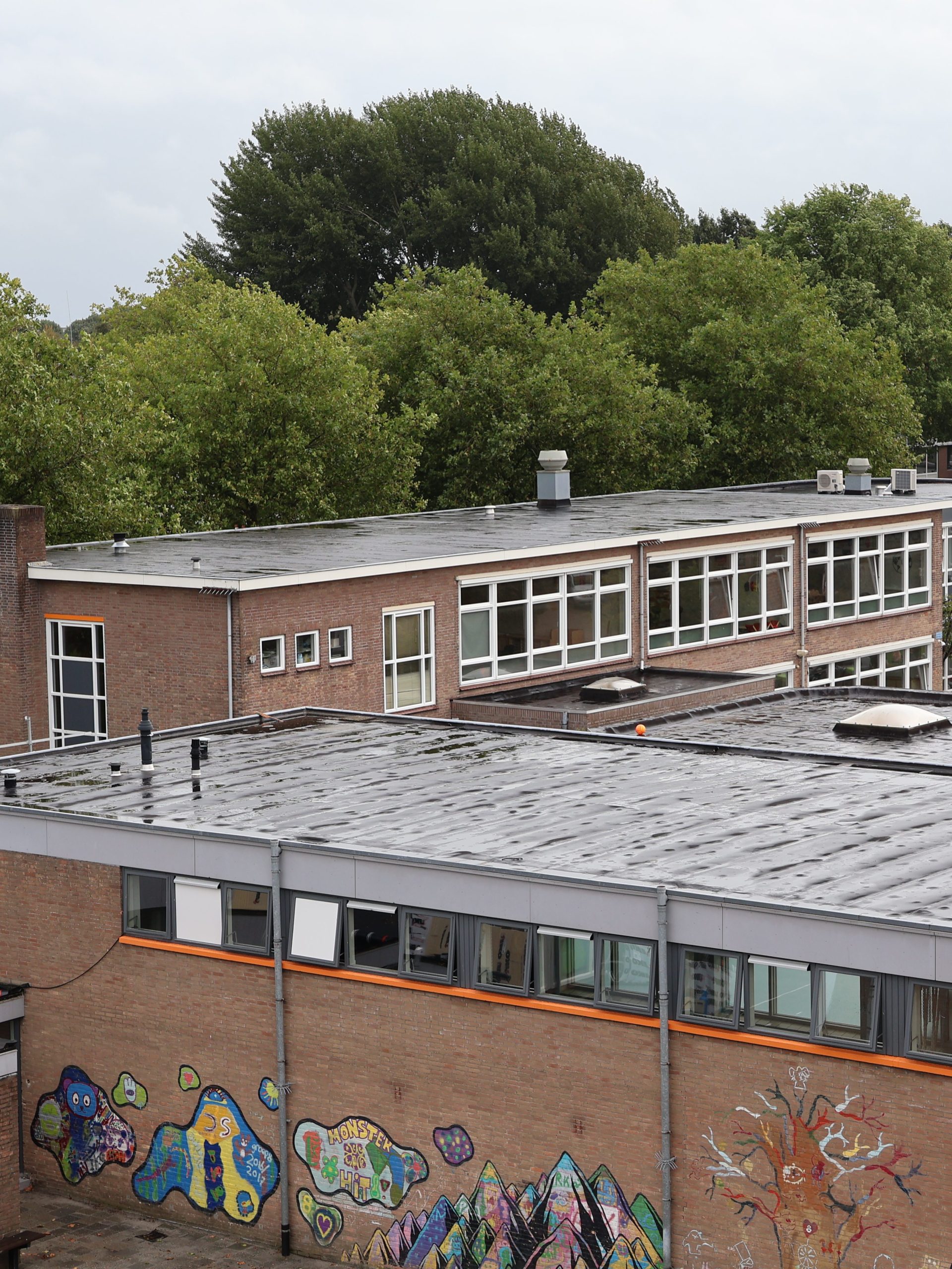 Dak van een school in Leeuwarden