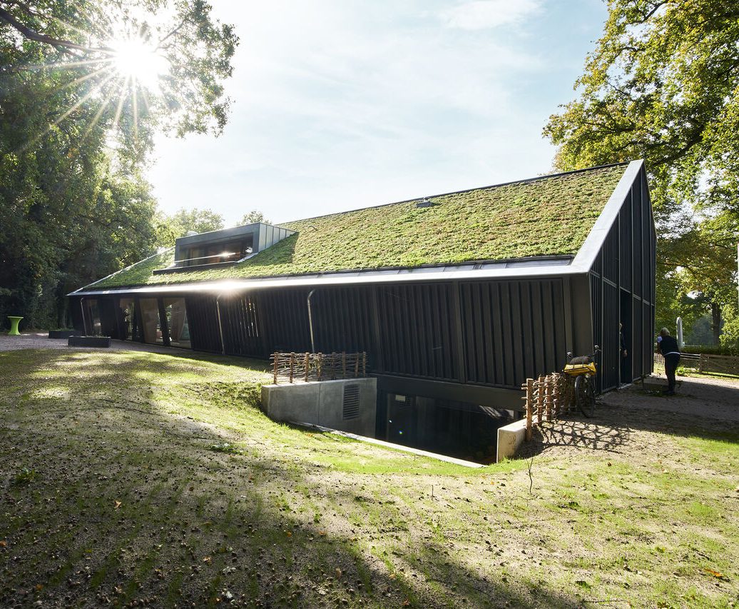 Een prachtig voorbeeld van een groen dak.