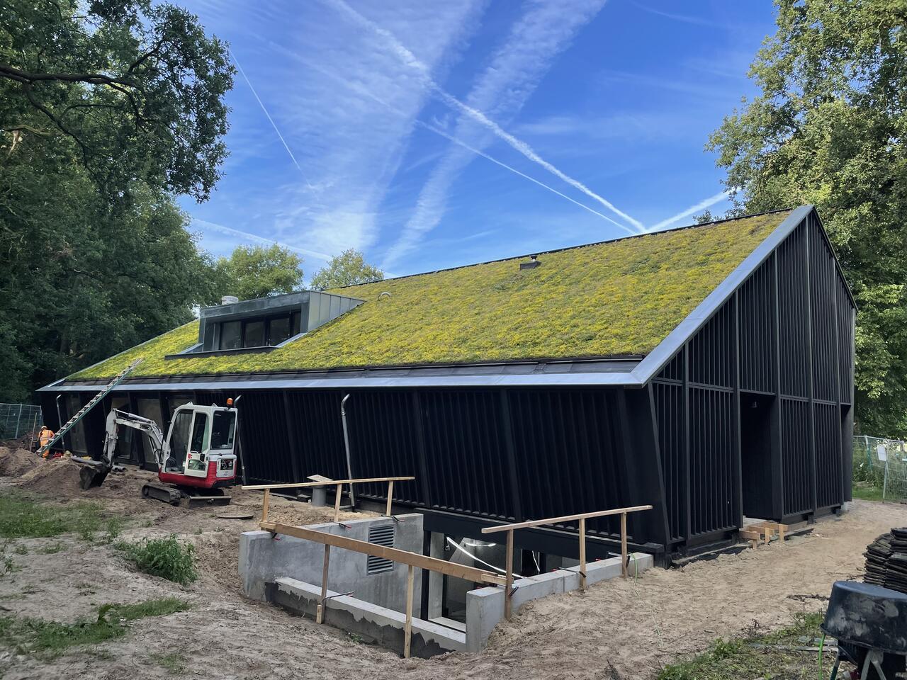 Een voorbeeld van een groen dak in de praktijk bij een particulier.